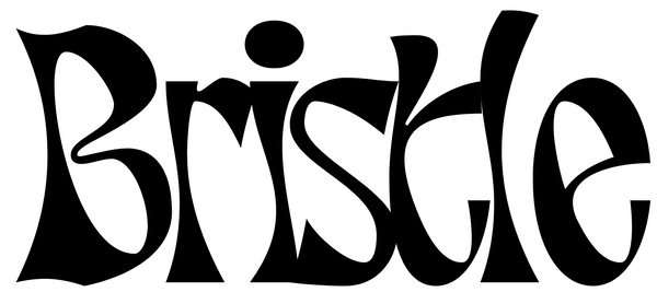 Bristle